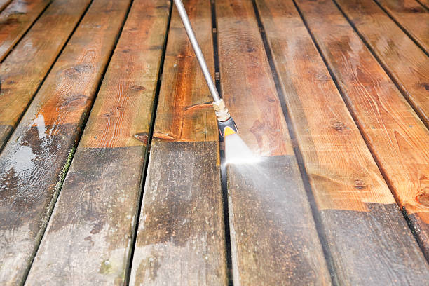 Best Rust Removal  in Lake Sarasota, FL